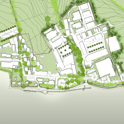 Royal Veterinary College. Hawkshead Campus Masterplan